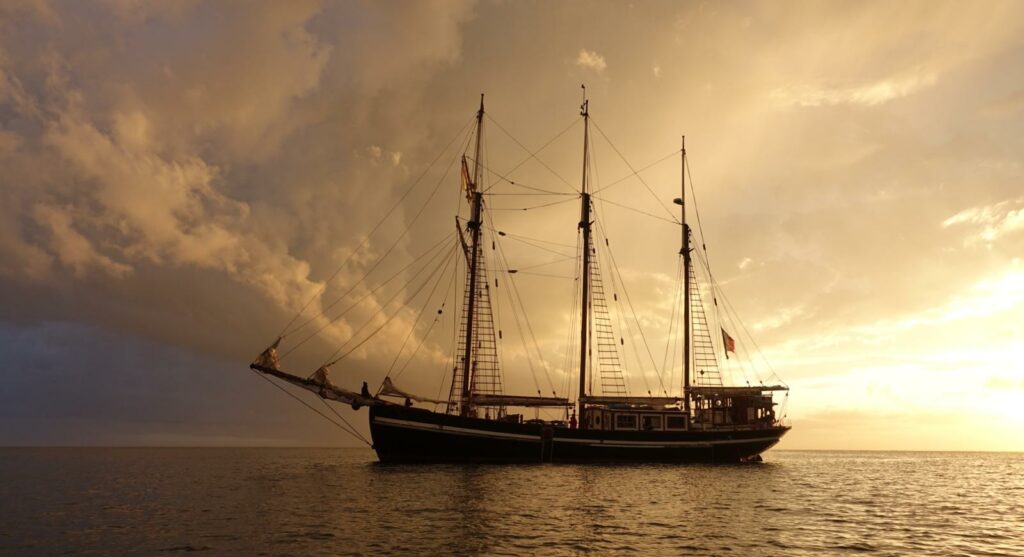 whatsapp image 2025 09 05 à 16.30.48 e2eb062f