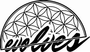 تطور الشركة